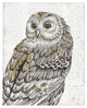 "Beautiful Owls III" Digital Paper Print by Daphne Brissonnet, 22"x26"