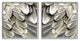 Feathered Bird Wings Lovely Close Up Photography, 2pc, each 12 x 12