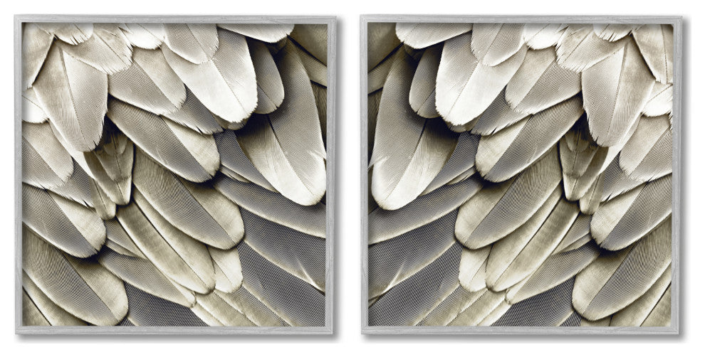 Feathered Bird Wings Lovely Close Up Photography, 2pc, each 12 x 12