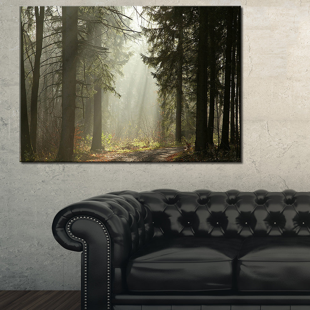"Dark Green Forest With Sun Rays" Canvas Print, 40"x30"