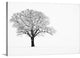 "Waiting for Spring" Wrapped Canvas Art Print, 24"x16"x1.5"
