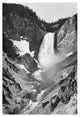 "Yellowstone Falls, Yellowstone National Park. ca. 1941-1942" Paper Art, 17"x24"