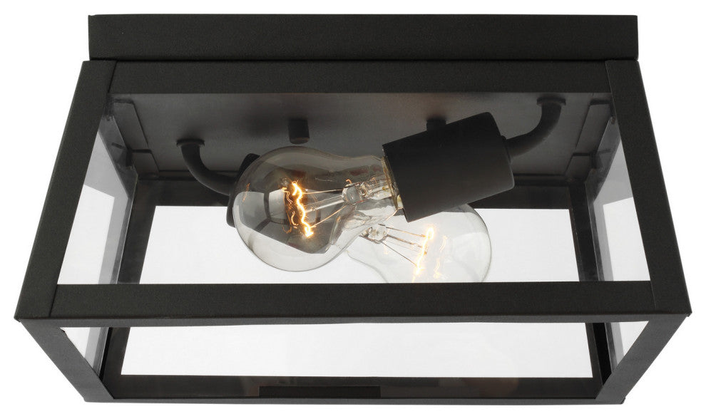 Visual Comfort 7848402-12-Two Light Outdoor Flush Mount, Founders