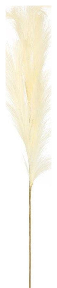 Pampas Spray, Set of 4, 47"H Polyester