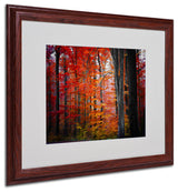 'No Particular Title' Matted Framed Canvas Art by Philippe Sainte-Laudy