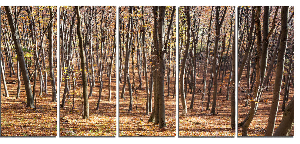 Thick Carpathian Deciduous Forest, Forest Canvas Art Print, 60"x28", 5 Panels