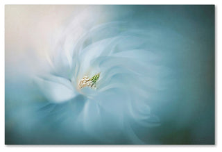 Jacky Parker 'Serene' Canvas Art, 32 x 22