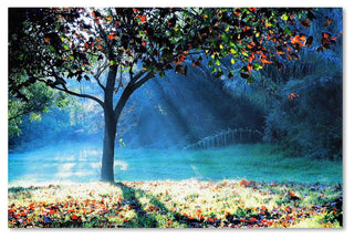 'Rays of Hope' Canvas Art by Beata Czyzowska Young