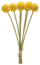 Pod Bundle, Set of 6