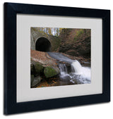 'Monotonous Beauty' Matted Framed Canvas Art by Monica Fleet