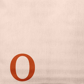 20"x20" Modern Monogram Decorative Throw Pillow, Sienna