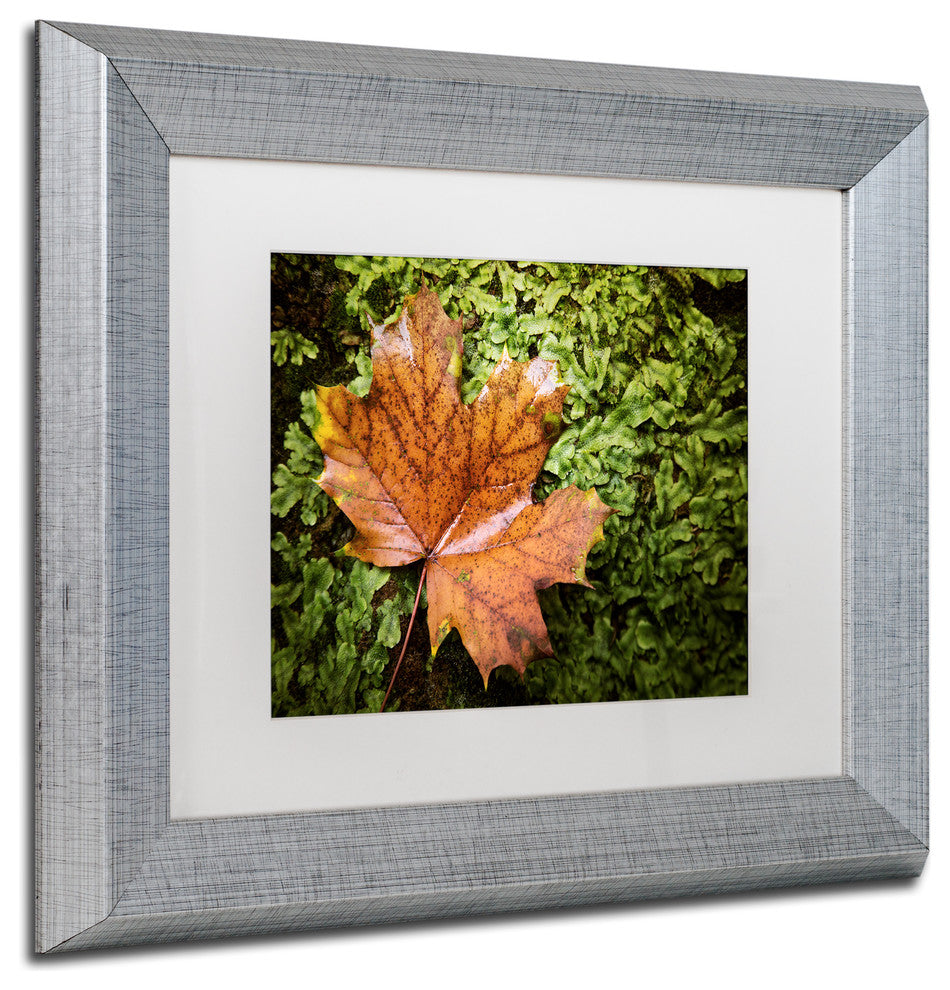 Jason Shaffer 'Maple Moss' Matted Framed Art, Silver Frame, White Mat, 14x11