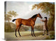 "Tristram Shandy" Stretched Canvas Giclee by George Stubbs, 22"x18"