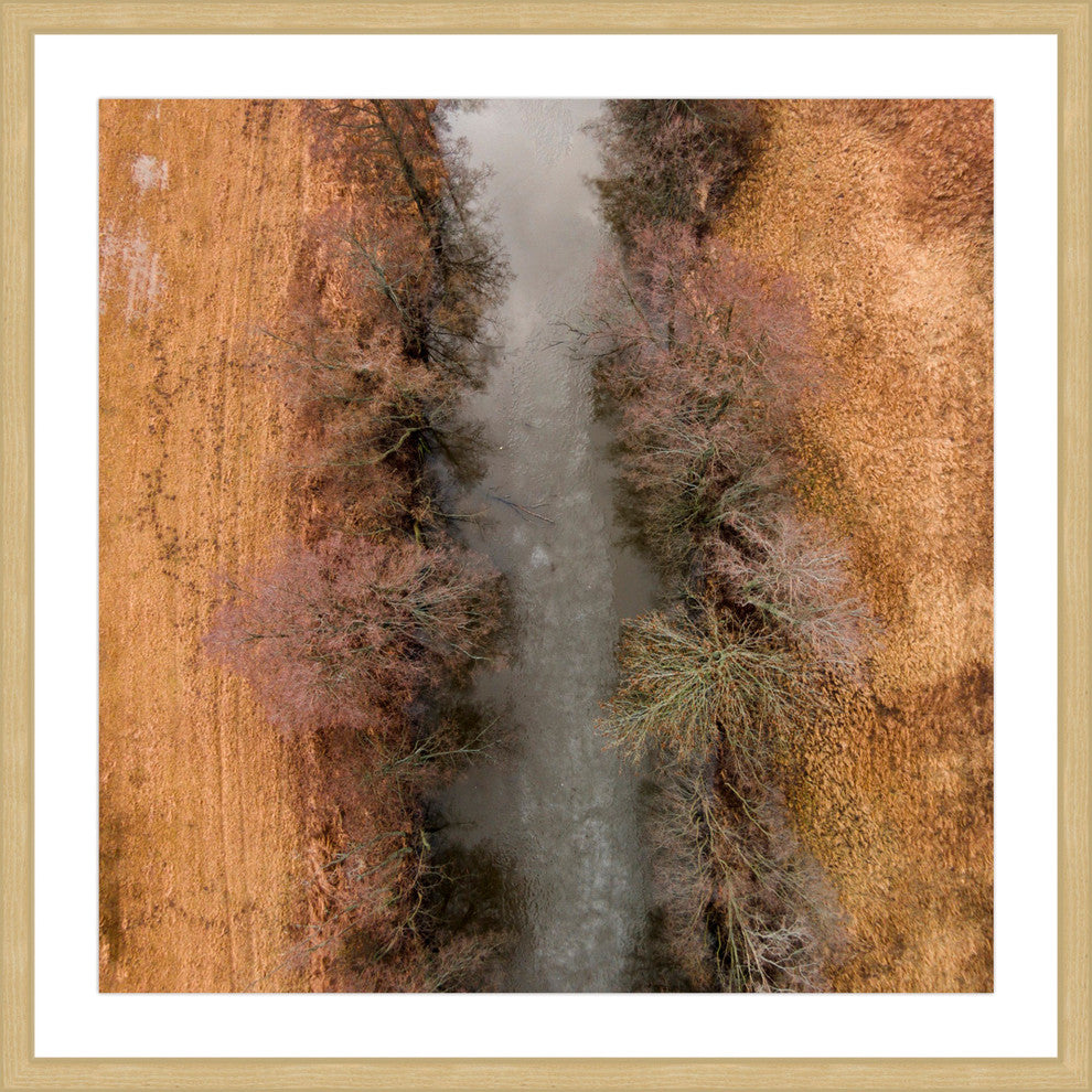 "Marshy Path" Framed Print by Karolis Janulis