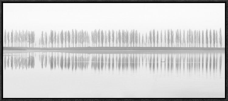 "Misty Alley" Framed Canvas Giclee by Fotoea, 31x14"