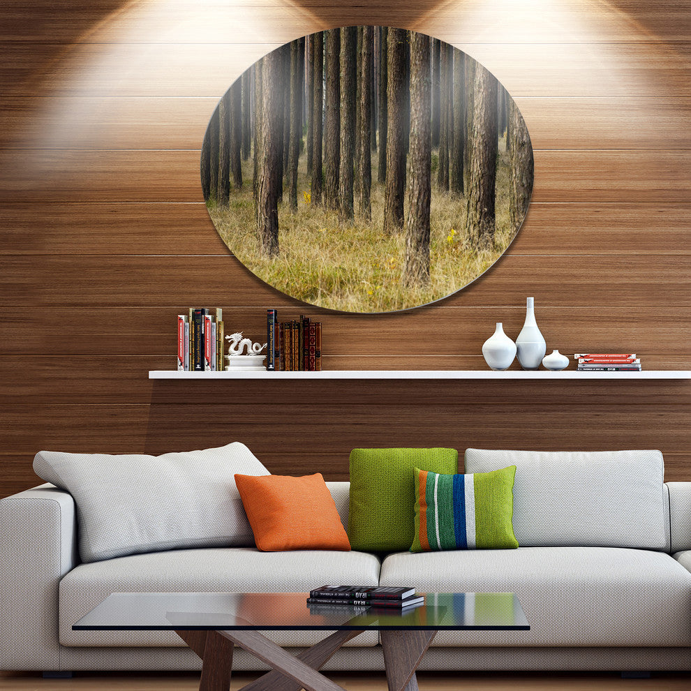 Dark Fall Forest With Green Grass, Forest Large Disc Metal Artwork, 23"