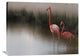 "Untitled" Stretched Canvas Giclee by Anna Cseresnjes, 36x27"