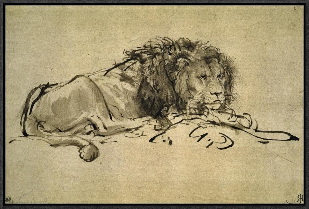 "Lion" Framed Canvas Giclee by Rembrandt Van Rijn, 23x15"