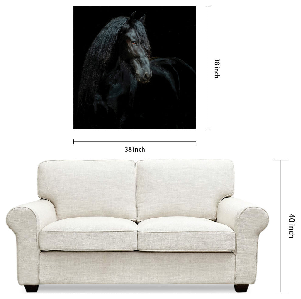 "Black Equine Attraction" Frameless Free Floating Tempered Glass Panel Wall Art