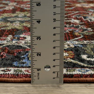 Hanford Bordered Persian Red/Multi Fringe Edge Area Rug 5'3" x 7'6"