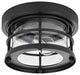 Home Living 10" Outdoor Flush Mount, Black