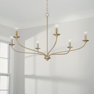 Capital Lighting 449961 Dolan 6 Light 40"W Candle Style - Matte Brass