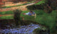 Paul Gauguin Pond With Ducks