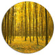Bright Yellow Autumns Forest, Modern Forest Round Wall Art, 11"