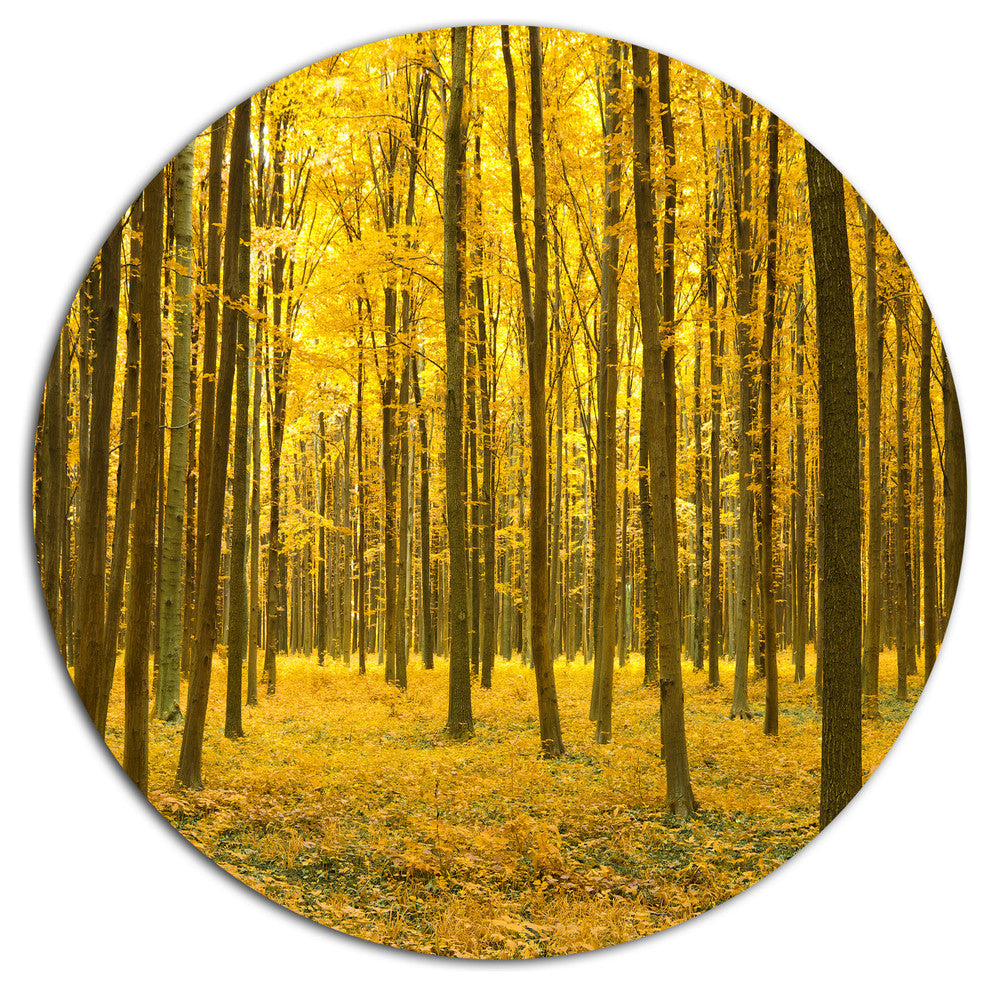 Bright Yellow Autumns Forest, Modern Forest Round Wall Art, 11"