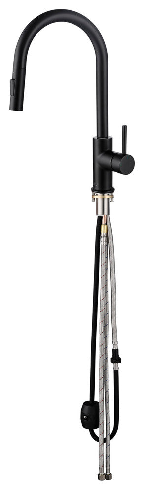 Brass Single Handle Pull Out Kitchen Faucet, Matte Black