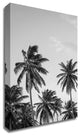 Palms in Grey by Design Fabrikken, Print on Canvas, 20"x28"