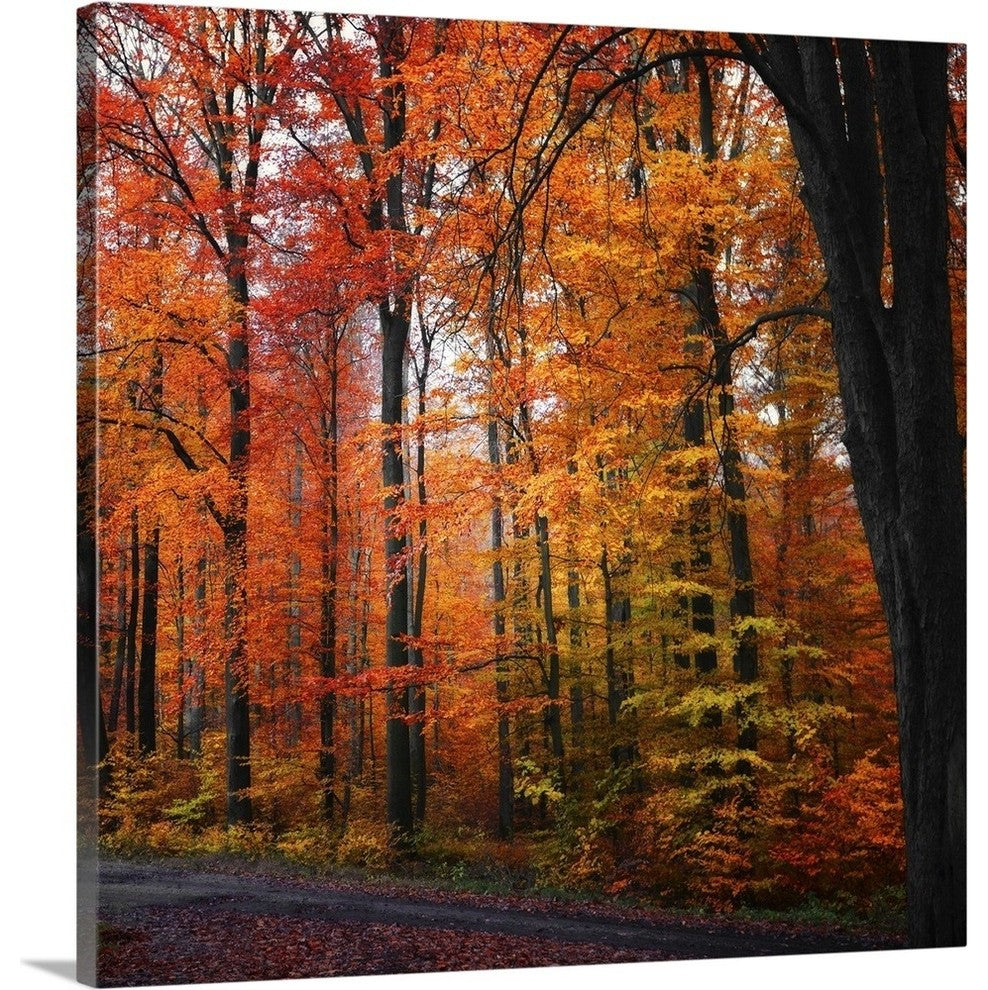 "Rainbow Fall" Wrapped Canvas Art Print, 20"x20"x1.5"