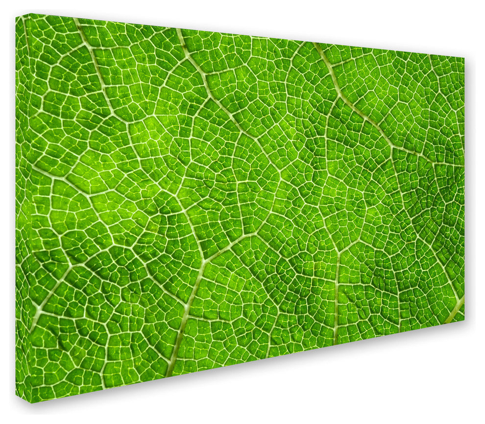 Cora Niele ''Leaf Texture VII'' Canvas Art