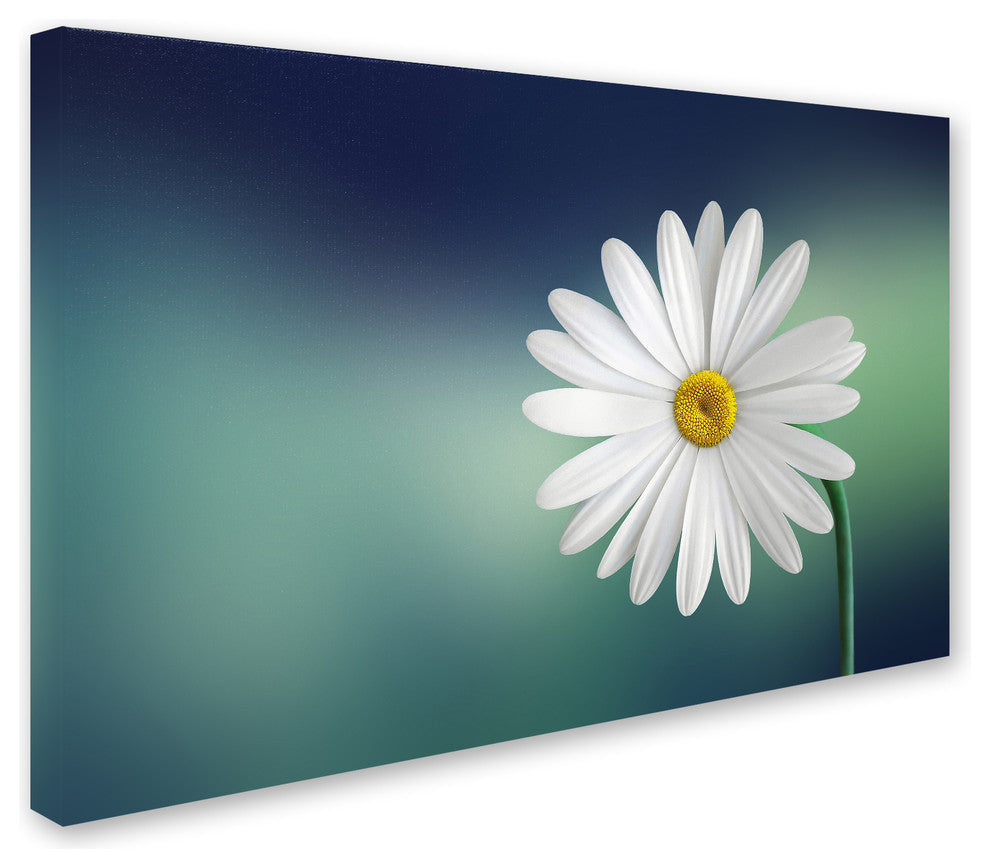 Bess Hamiti 'Flower' Canvas Art, 24x16