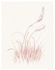 "Farm Nostalgia Flowers IV" Digital Paper Print by Danhui Nai, 38"x50"