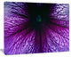 Abstract Purple Floral Design, Floral Canvas Art Print, 20"x12"