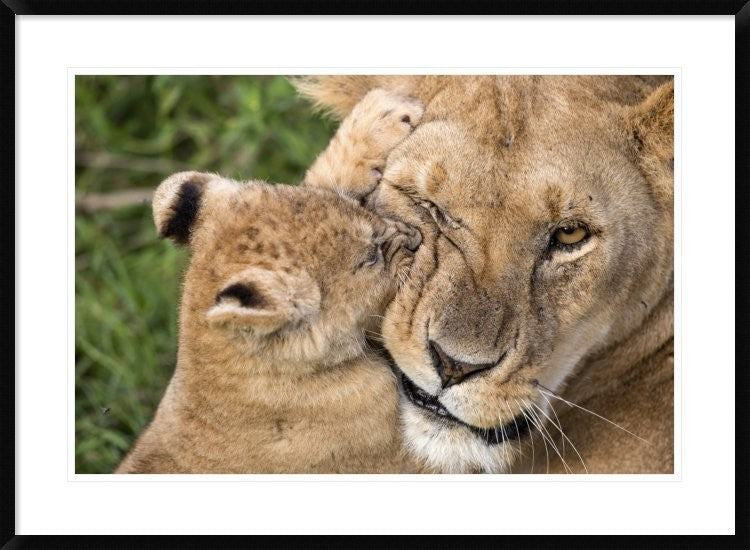 "Mother Love" Framed Digital Print by Alessandro Catta, 38"x28"