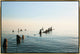 36x24 Admiring the View, Framed Artwork, Gold