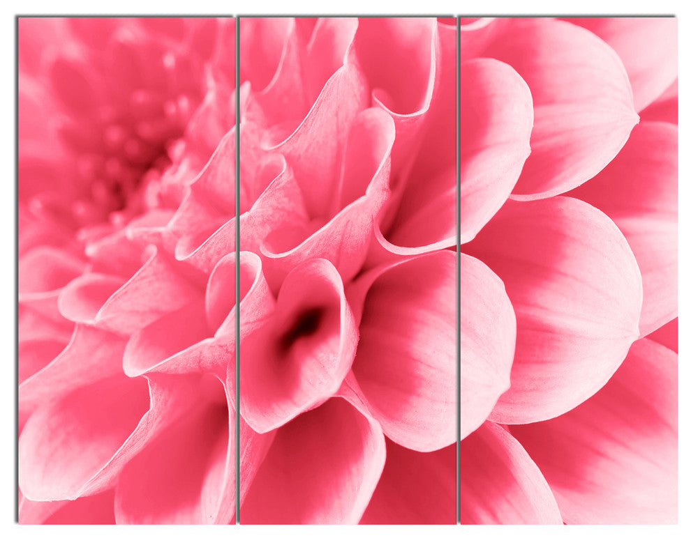 Pink Abstract Flower Petals, Floral Triptych Canvas Art Print, 36x28, 3 Panels
