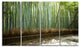 "Beautiful View of Bamboo Forest" Forest Wall Art Print, 4 Panels, 48"x28"