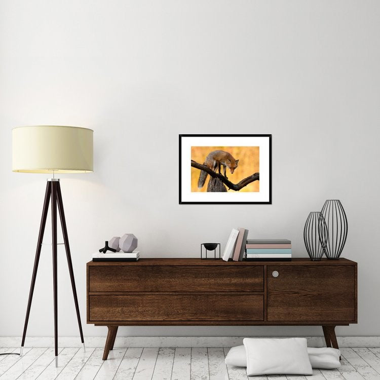 "With Blazing Eyes" Framed Digital Print by Csaba Tokolyi, 30x22"