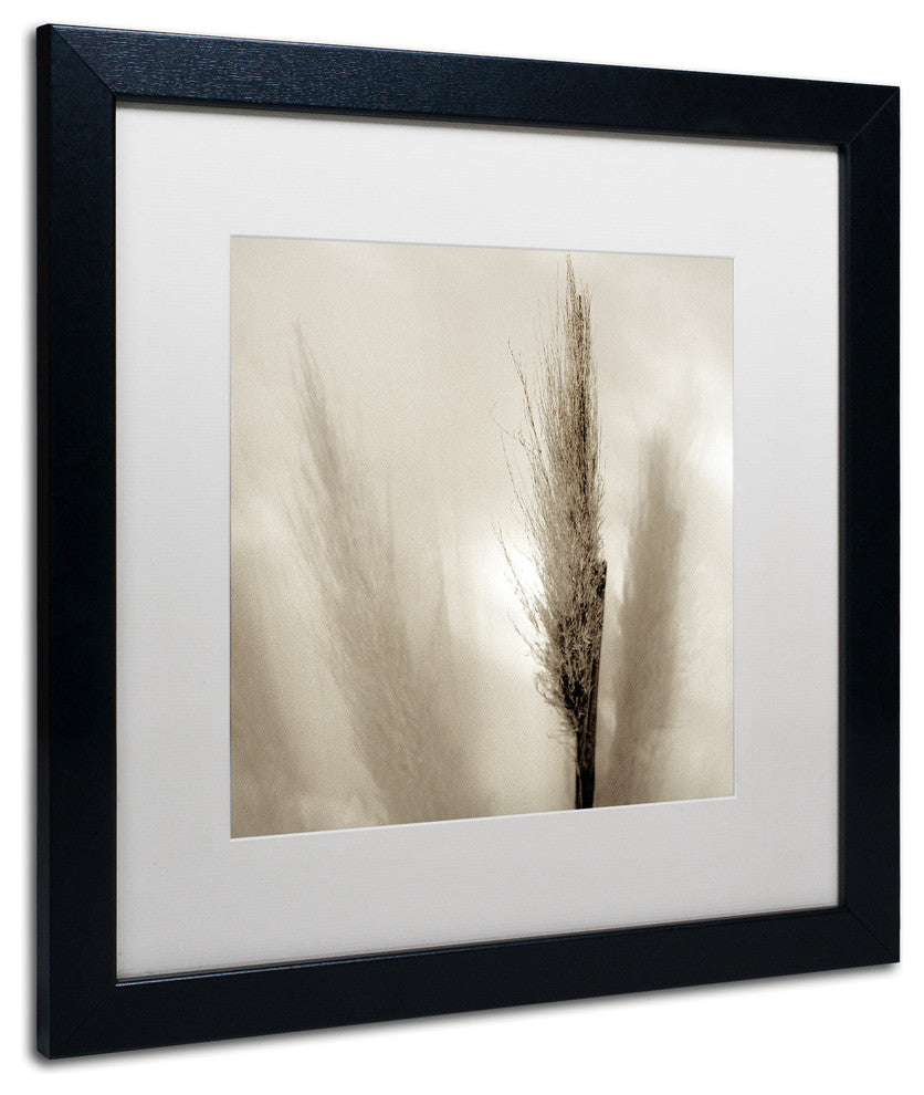 Alan Blaustein 'Florison 53' Art, Black Frame, White Mat, 16x16