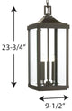 Gibbes Street 3-Light Hanging Lantern