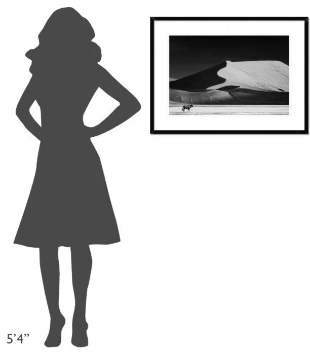 "The Solitary" Framed Digital Print by Mathilde Guillemot, 32x24"