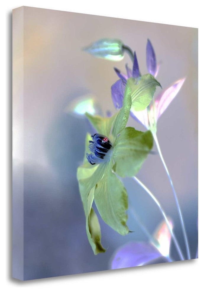 "Floral Color - 9" By Alan Blaustein, Giclee Print on Gallery Wrap Canvas
