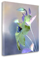 "Floral Color - 9" By Alan Blaustein, Giclee Print on Gallery Wrap Canvas