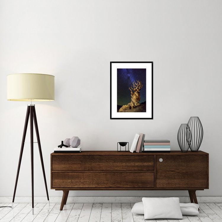 "Bristlecone Pine" Framed Digital Print by Tanja Ghirardini, 24x32"