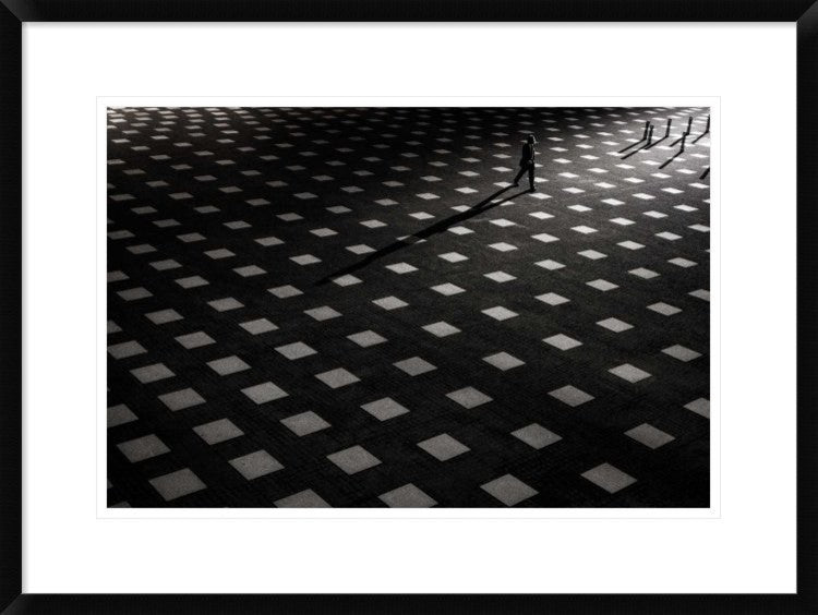 "It Is Scattered" Framed Digital Print by Kouji Tomihisa, 30x22"