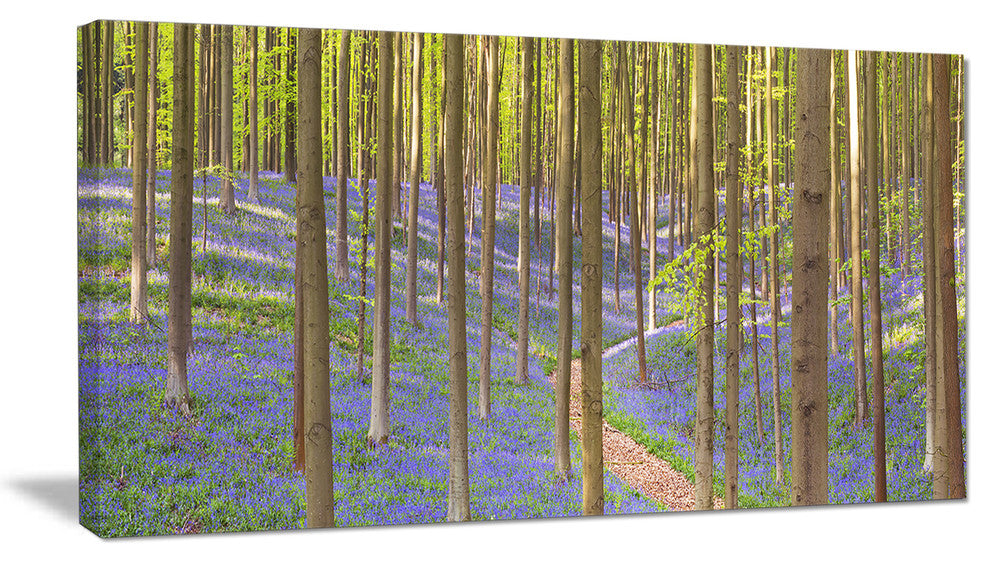 Blooming Bluebell Forest Panorama, Landscape Canvas Art Print, 32"x16"