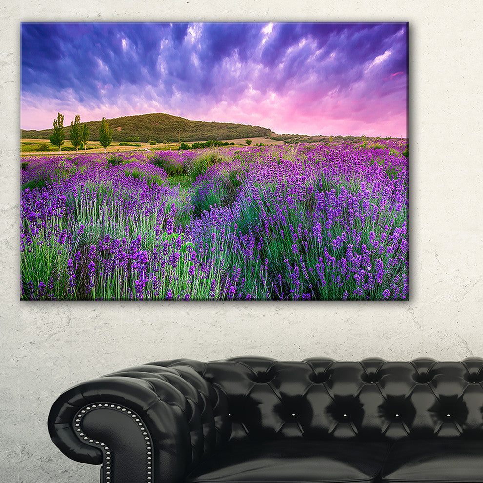 "Summer Lavender Field in Tihany" Modern Landscape Wall Art, 40"x30"
